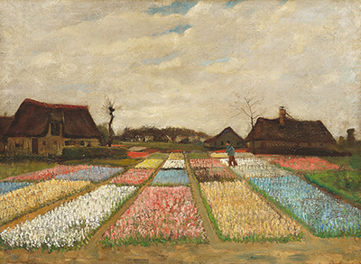 Bulb Fields Vincent van Gogh